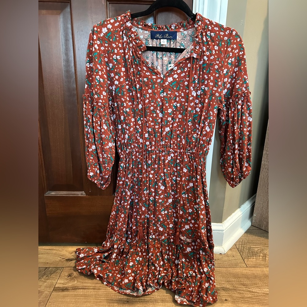 Blue Rain Rust Floral Dress